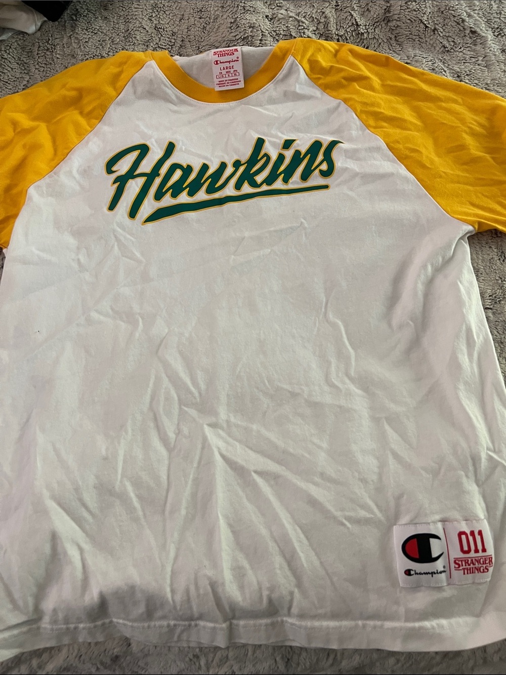 5/$10 item make a bundle!! Champion Hawkins Raglan